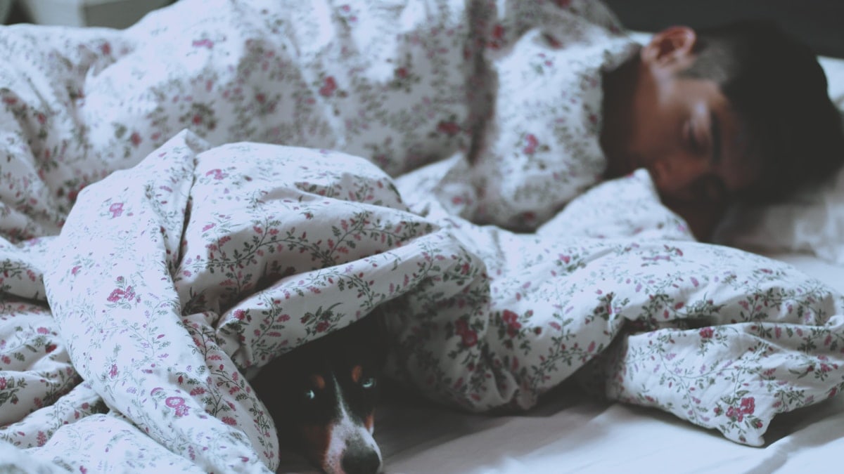 Find me on instagram @cmanashuete !!! - Pinta looks like a dog, but she’s more like a person. Whenever you try to treat her like the other dogs, she will just stare at you like saying: “Why are you doing this to me, i’n nothing like them”. One of the things she likes most of being a dog-person is sleeping under our sheets, specially when I wake up early and she can take my place into bed, still warm, smelling like me and side to side with her beloved human daddy. Under the bed sheets, she always gives me this look, like saying: “I’m home”.